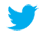 Everything Primitives on Twitter